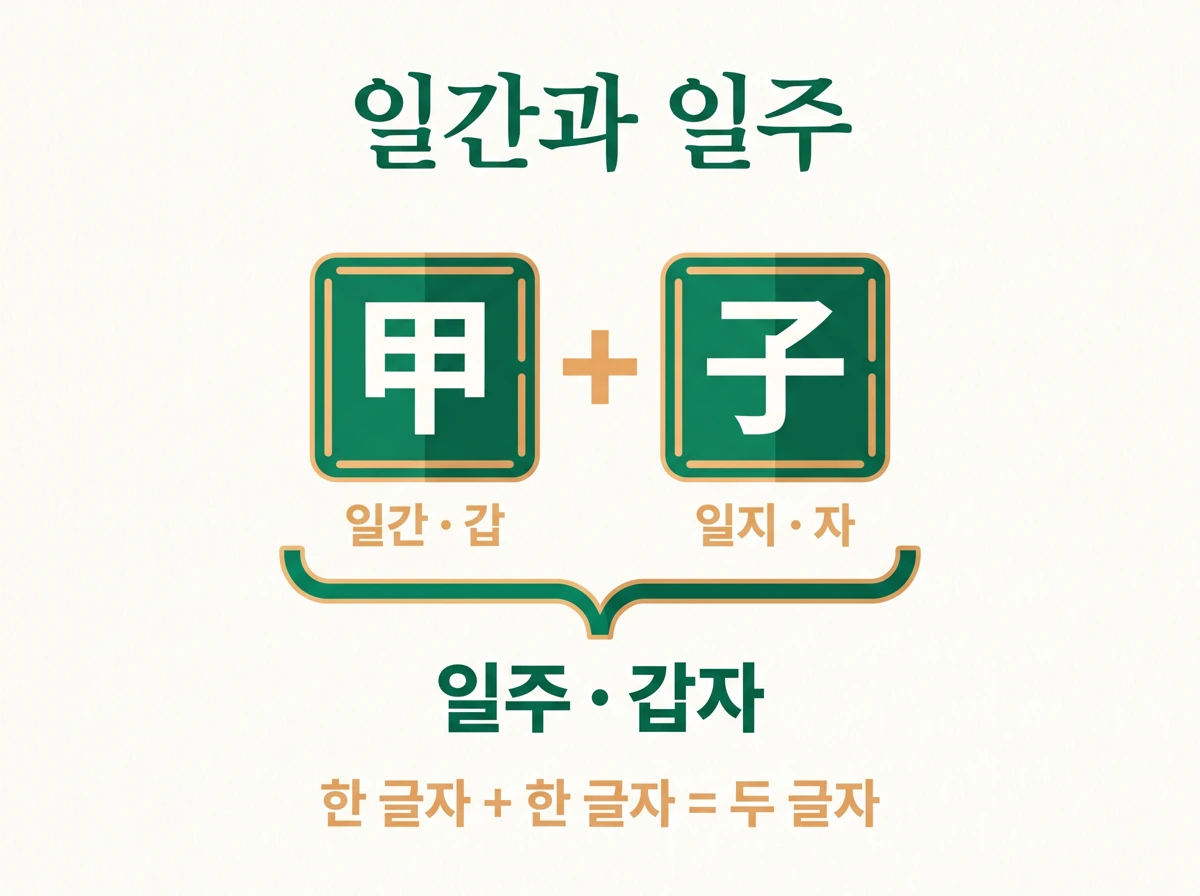 甲 한 글자는 일간, 甲과 子를 묶은 甲子 두 글자는 일주임을 보여 주는 한자 분해 도식